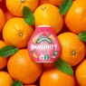 Robinsons Immunity Benefit Drops Orange & Guava, with vitamin B6 and Zinc - 66ml | Winter Essential