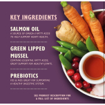 Lily’s Kitchen Senior Wet Dog Food – Natural Grain-Free Recipe with Turkey | 6 x 400g Tins