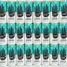 Humble Warrior Sparkling Botanical Drink | PINEAPPLE & GINGER | Low Sugar, Low Calorie, High Vitamin C, 250ml | Pack of 24