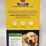 Pedigree Dentastix Daily Dental Chews for Large Dogs (25kg+) – Pack of 21 Sticks