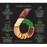 Harringtons Just 6 Lamb & Veg 12kg – Grain-Free Dry Dog Food, Hypoallergenic