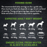 Harringtons Just 6 Grain Free Dry Dog Food Lamb & Veg 12kg – Hypoallergenic, Natural, with Fresh Baked Bites