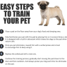 Pet Puppy Training Pads 56x56cm – Pack of 50 | 5-Layer Super Absorbent Dog Pee Pads | DAMAGED PACKAGING