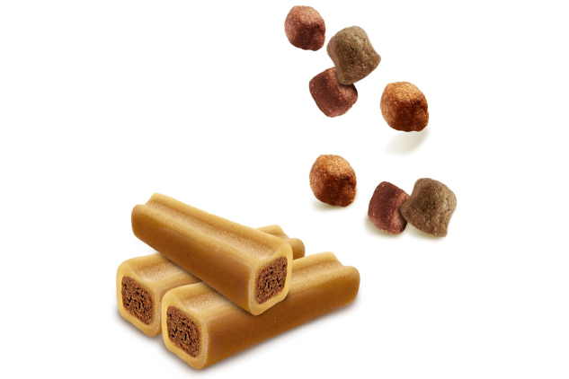 Pedigree Mega Box Dog Treats – 740g Multipack | 3 x 140g Tasty Minis + 8 Jumbone Mini Sticks | Chicken, Duck & Beef Flavours