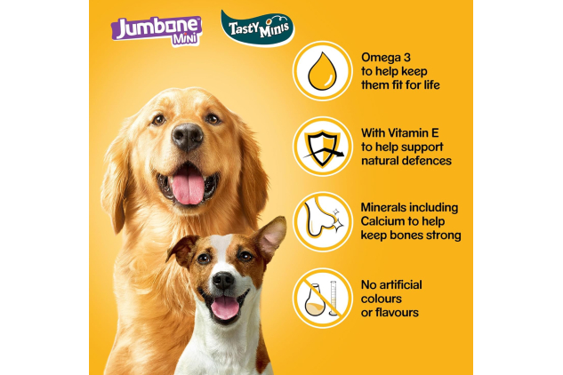 Pedigree Mega Box Dog Treats – 740g Multipack | 3 x 140g Tasty Minis + 8 Jumbone Mini Sticks | Chicken, Duck & Beef Flavours
