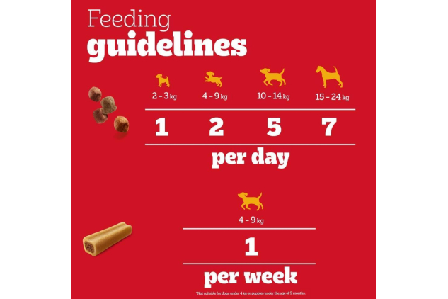 Pedigree Mega Box Dog Treats – 740g Multipack | 3 x 140g Tasty Minis + 8 Jumbone Mini Sticks | Chicken, Duck & Beef Flavours