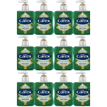 Carex Christmas Edition Antibacterial Hand Wash Eucalyptus & Cedar – 12 x 250ml Bulk Pack – Cleans & Protects Hands | Festive Fragrance