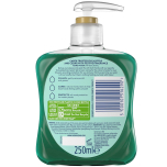 Carex Christmas Edition Antibacterial Hand Wash Eucalyptus & Cedar – 12 x 250ml Bulk Pack – Cleans & Protects Hands | Festive Fragrance