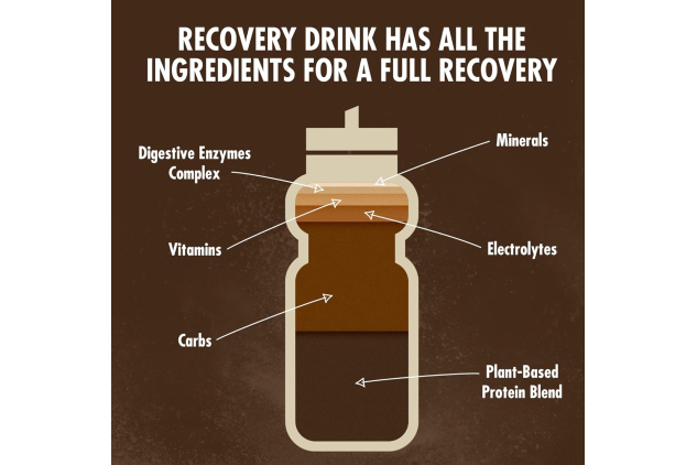 HIGH5 Recovery Drink – Plant-Based Pea Protein – Chocolate – 1.6kg Tub – Vegan Post-Workout | 32 Servings