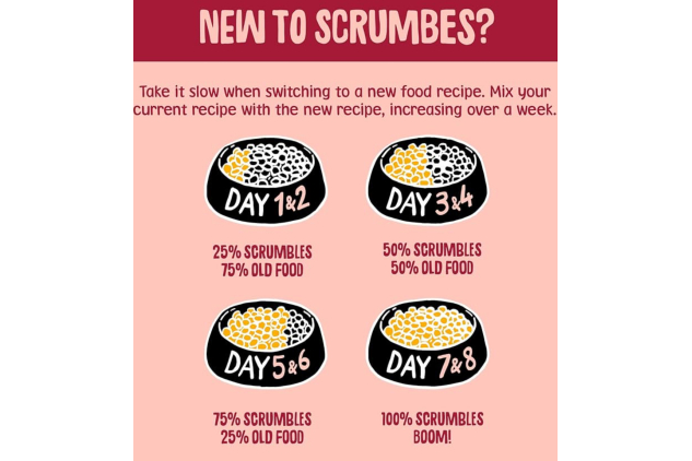 Scrumbles All Natural Dry Cat Food – 75% Chicken & Fresh Salmon – High Protein Complete Food for Adult & Senior Cats – 750g
