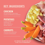 Lily’s Kitchen Puppy Recipe Wet Dog Food with Chicken – 10 x 150g Trays | Natural Ingredients | Past Best Before Date