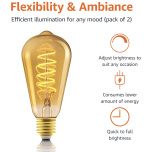 E27 Vintage LED Light Bulbs – Retro Amber Glass, Dimmable, Ultra Warm Light | ST64 4W (Pack of 2)