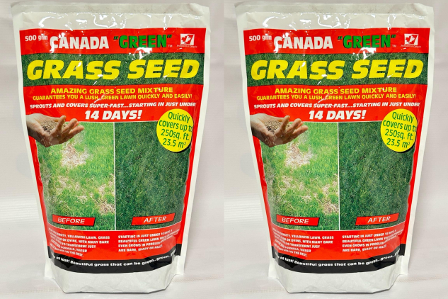 Canada Green Grass Seed 1KG (2 x 500g Bags) | Fast-Growing, All-Season Lawn Repair & Patch Seed