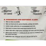 Canada Green Grass Seed 1KG (2 x 500g Bags) | Fast-Growing, All-Season Lawn Repair & Patch Seed