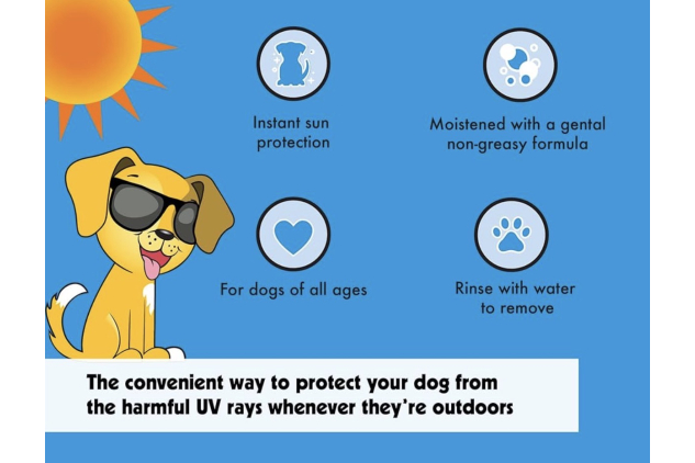 Petkin Doggy Sunwipes SPF 15 | Sunscreen Wipes for Dogs | 20 Jumbo Wipes | Vanilla Coconut Scent