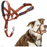 HALTI Headcollar – Size 2 (Burnt Orange) | Gentle No-Pull Dog Training Collar