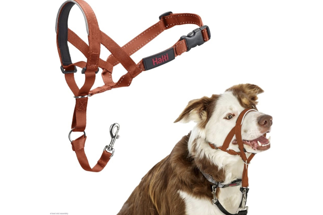 HALTI Headcollar – Size 2 (Burnt Orange) | Gentle No-Pull Dog Training Collar