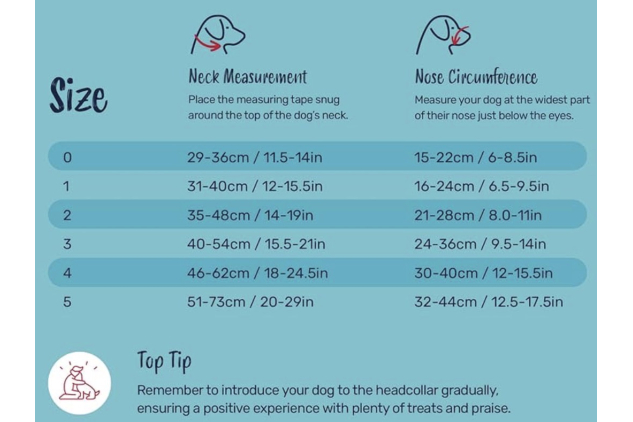 HALTI Headcollar – Size 2 (Burnt Orange) | Gentle No-Pull Dog Training Collar