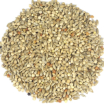 Britten & James Expert Budgerigar Seed Mix – 2L Tub (Approx. 1.8kg)