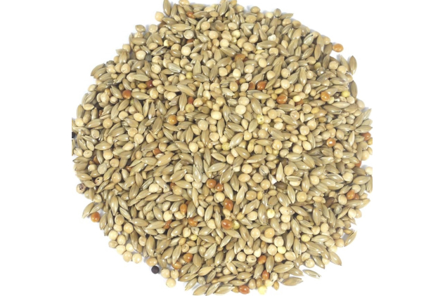 Britten & James Expert Budgerigar Seed Mix – 2L Tub (Approx. 1.8kg)