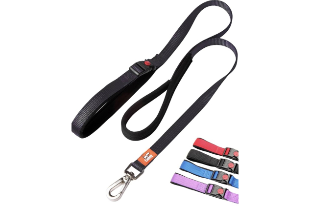 Canny CONNECT Lead – Anti-Pull Dog Lead for Canny Collar | Lockable Handle | Soft Padded Grip | 120 cm x 15 mm Black (Puppies & Small Dogs)
