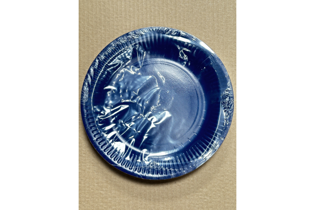 Navy Blue Disposable Cardboard Plates 23cm Diameter | 20 Pack