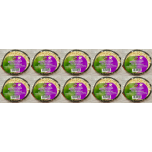 Extra Select Mealworm Half Coconut Wild Bird Food | 10 Hanging Feeders