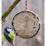 Extra Select Mealworm Half Coconut Wild Bird Food | 10 Hanging Feeders