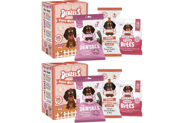 Denzel’s Puppy Welcome Kit – All Natural Puppy Treats Selection | 216g Pack of 2