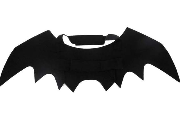 Bat Wings Halloween Costume for Dogs & Cats | Black Pet Fancy Dress | One Size