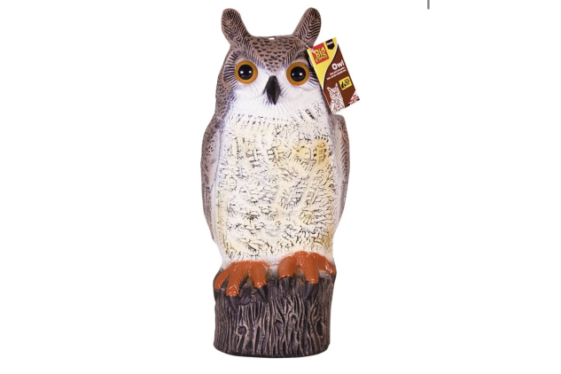 The Big Cheese Long Eared Owl Realistic Decoy Deterrent 17 Inch