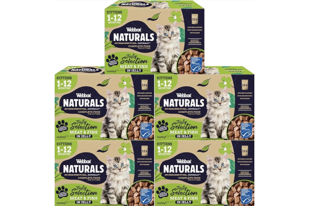 Webbox Naturals Kitten Wet Cat Food Pouches | Meat & Fish in Jelly Variety | 60 x 100g