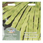 Mr Fothergill's Climbing French Bean Pantheon