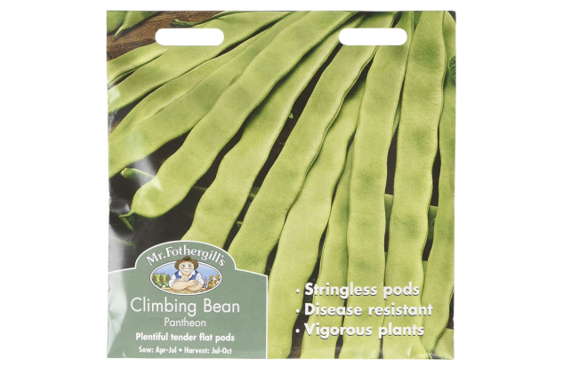 Mr Fothergill's Climbing French Bean Pantheon
