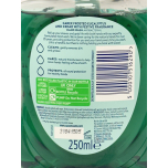 Carex Christmas Edition Antibacterial Hand Wash Eucalyptus & Cedar – 250ml