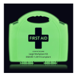 Reliance Medical Large Glow in The Dark First Aid Kit in Aura Box 188 Count