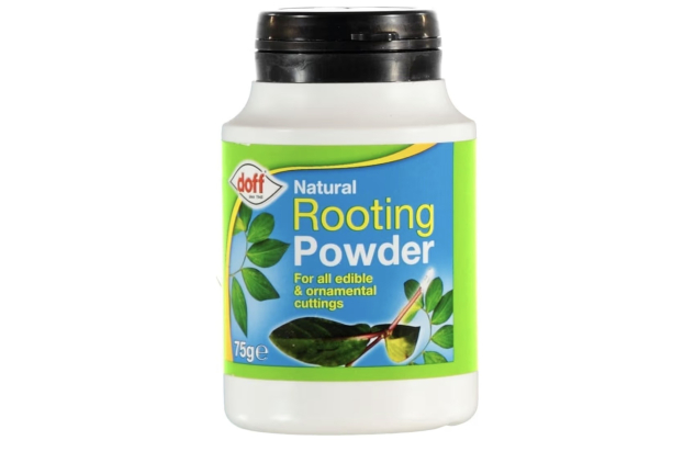 Doff Natural Rooting Powder Promotes Strong Healthy Roots 75g