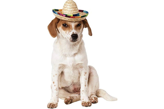 Sombrero Pet Dog Costume Hat S/M Multicolour