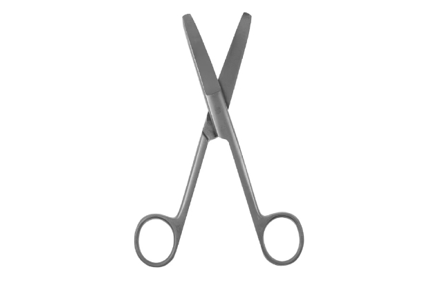 Wahl Curved Pet Scissors 5” Professional Stainless Steel Scissors For Cats & Dogs