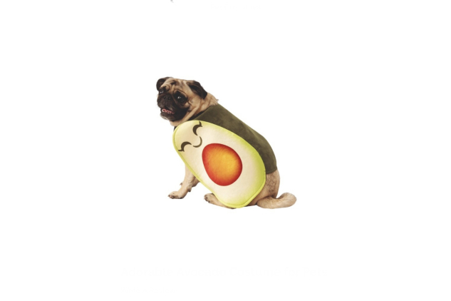 Avocado Dog Pet Fancy Dress Costume Size EXTRA LARGE