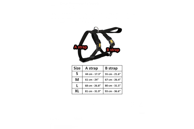 Dingo Waldemar Rutkowski Lightweight and Adjustable Dog Safety Harness for Car Travel with Chrome D-Ring on Back Size S Black