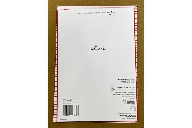 Hallmark My Special Someone Love Token Keepsake Card
