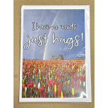 I Have No Words Just Hugs Greeting Card