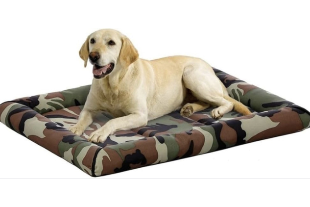 MidWest Maxx Camouflage Dog Bed 48 x 31 Inch