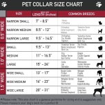 Buckle-Down Hakuna Matata Dog Collar Large