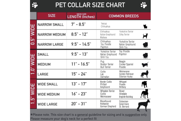 Buckle-Down Hakuna Matata Dog Collar Large