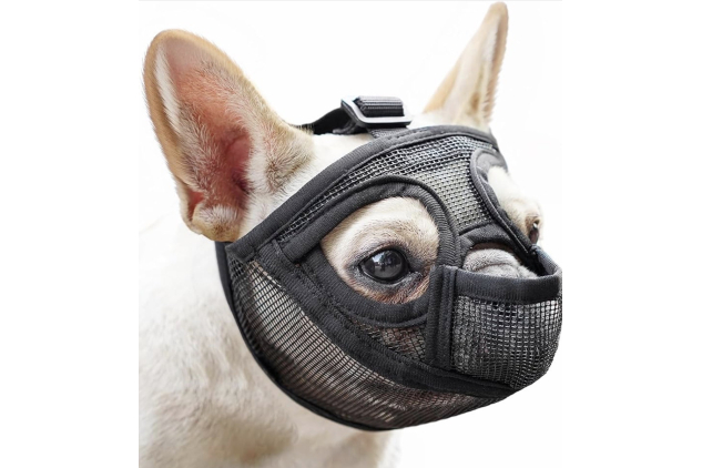 Mayerzon Short Snout Dog Muzzle Black Small
