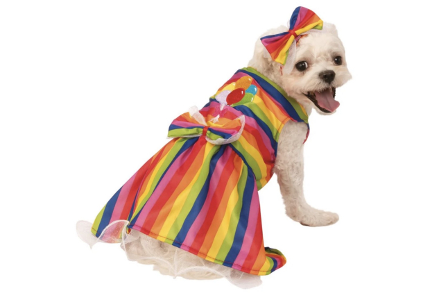 Rubie's Rainbow Party Dress Pet Costume Large | Colourful Dog or Cat Outfit