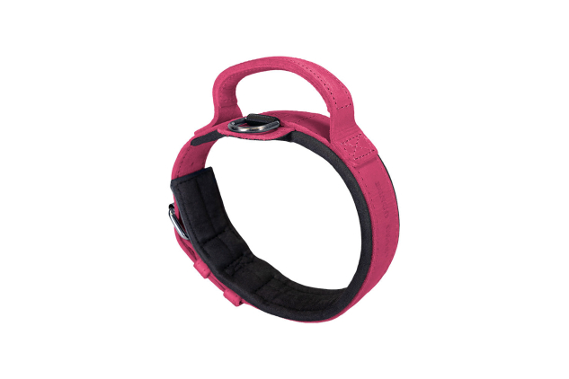 Dingo Gear Drago Pink Leather Dog Collar XL