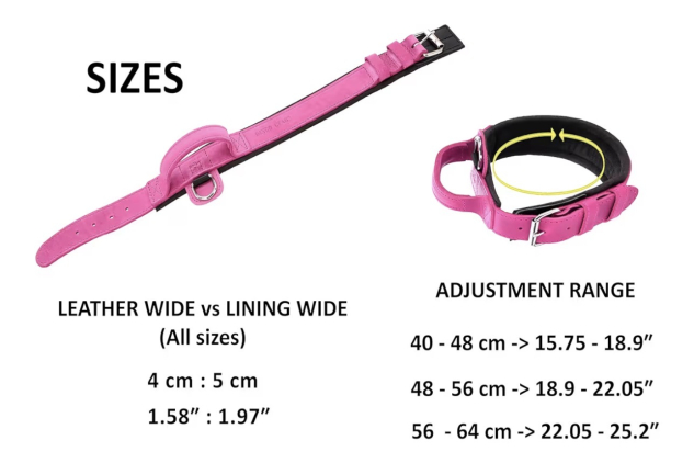 Dingo Gear Drago Leather Dog Collar with Handle Pink XL 56-64cm